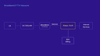 Alepo Carrier-Grade AAA: Powering Mobile and Broadband Networks
