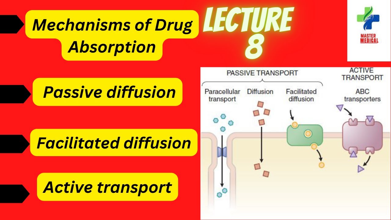 Mechanisms of Drug Absorption from GIT Drug Absorption Mechanism