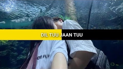 Dil tu jaan tu English version #alightmotionpreset Edit/[XML] file