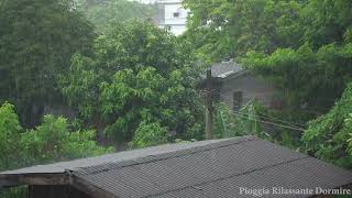 Addormentarsi in Meno di 5 Minuti con Forti Piogge e Tuoni sul Vecchio Tetto Nella Foresta