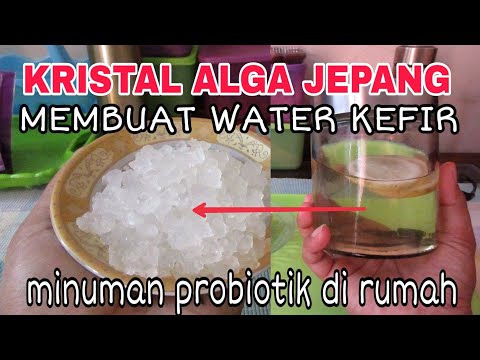 Video: Cara Membuat Jamur Kefir