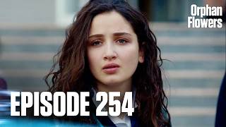 Kırgın Çiçekler I Orphan Flowers - Episode 254