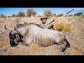 GIANT African WILDEBEEST Catch Clean Cook!!! (Far Shot)