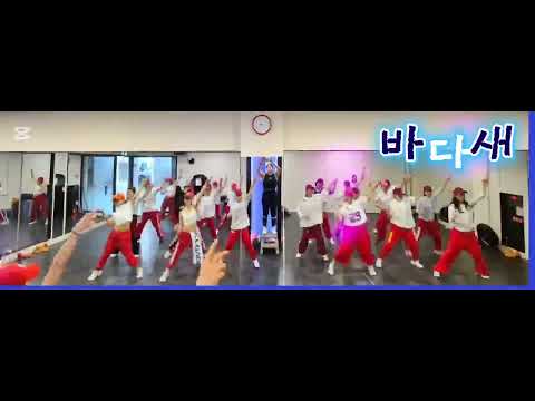 [오전수업영상] 바다새 Remix              #쉽고 #신나고~~ #텐션UP