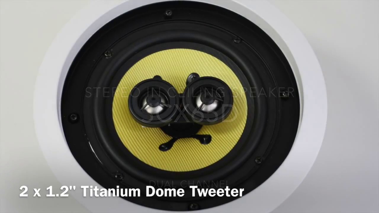 dual channel speaker