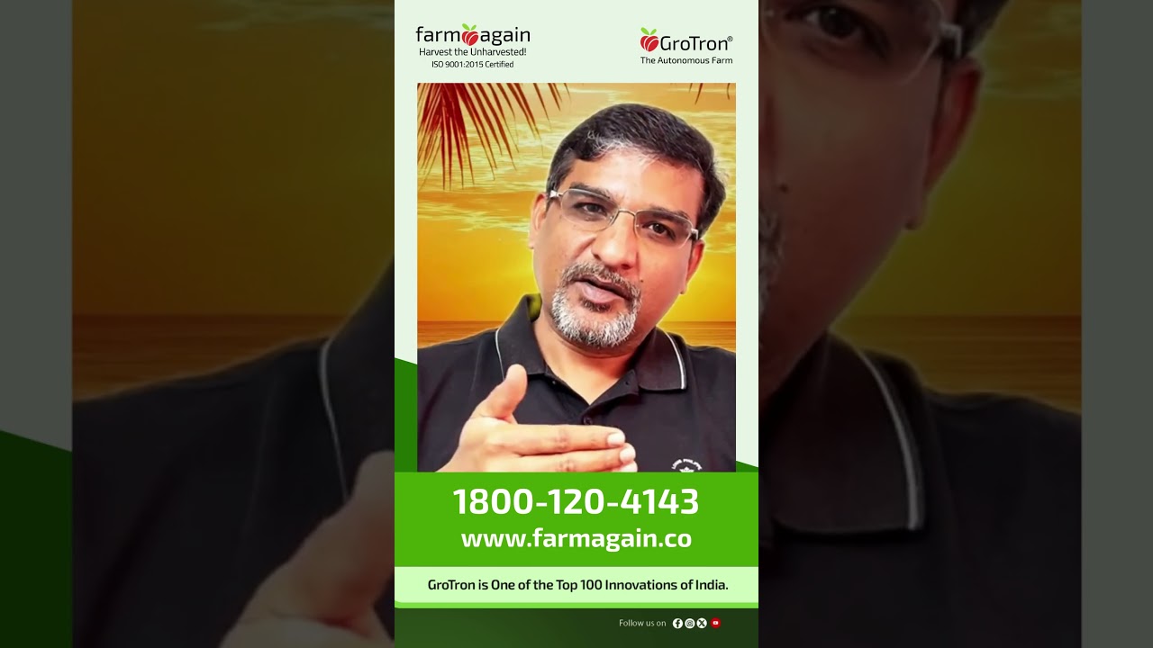 Coconut farms turns out to be a goldmine ! | Coconut farm | farmagain