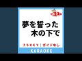 夢を誓った木の下で(ガイド無しカラオケ)...