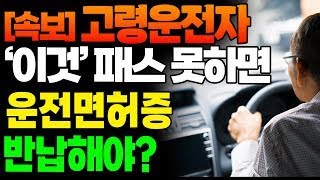 고령운전자 운전금지? '이것' 통과 못하면 이제부터 면허증 반납, 절대 운전 …