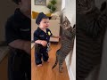 Baby Police Officer Talking to His Cat Partner 👮‍♂️🐱 | Cutest Conversation Ever!