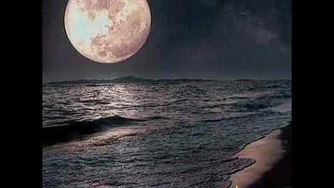 تلاوة عطرة لما تيسر من سورة الحجر