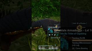 How to tame an Armadoggo in 20 seconds #arksurvivalascended #extinction #survivetheark