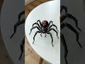 Black Widow X: The Ultimate Spider Transformation