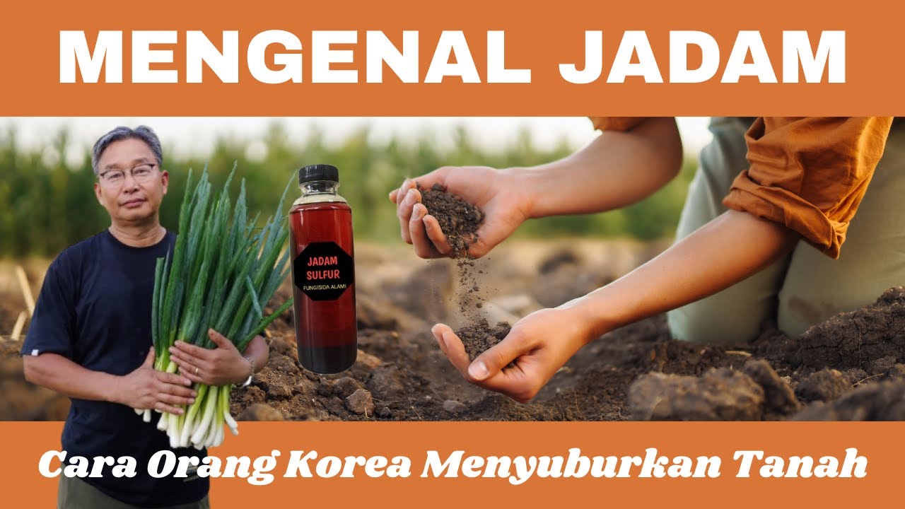 Mengenal Jadam: Rahasia Pertanian Korea, Cara Bertani Nyaris Tanpa Modal!