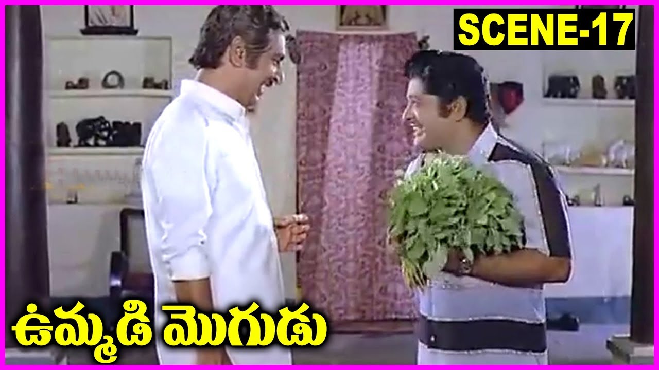 Ummadi Mogudu  Movie  Scene -17 - Sobhan Babu, Radhika, Keerthi