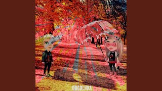 3.06.19