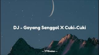 DJ - Goyang Senggol X Cuki Cuki FYP TIKTOK