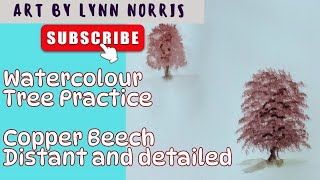 watercolour tree practice, Copper Beech tree, how to achieve in distance and foreground