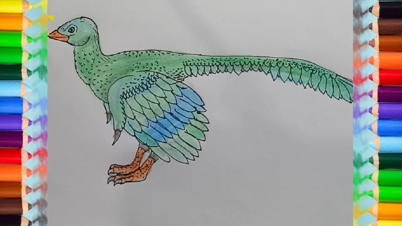 Download Dinosaur drawing and coloring - How to draw Archaeopteryx - YouTube