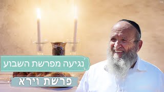 הרב יוסף בריגה - חסד, יסוד העולם-פרשת וירא תשפ''ד