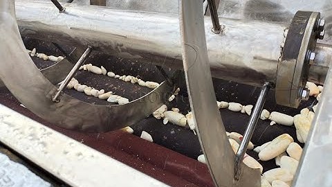 Cassava peeling machine trial run video