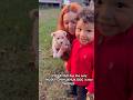 1 YEAR OLD has the ONLY HUSKY CHIHUAHUA DOG in the WORLD #husky #toddler #fypシ #boydad #boymom #dog