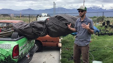 Tree Transportation Tips