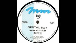 Digital Boy - Kokko