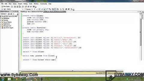 ADO NET 04   Crystal Reports Avec DataSet   Etat avec des condition