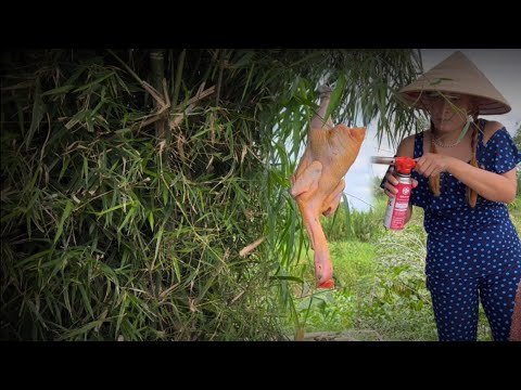 Video Lẩu Gà Nấu Củ Ấu Ăn Mừng Cất Trại Nghìn Tỉ Đồng Anh Ba... - youtube