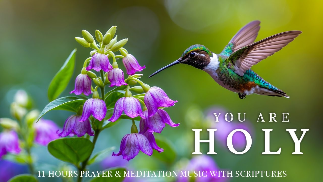 YOU ARE HOLY | Powerful Instrumental Worship Music for Deep Prayer, Devotion & Encounter with God