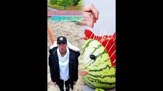 Wie Is De Tommy In Jouw Groep?