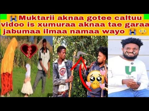 Warii Muktarii Jibitanii Bagaa Gamadanii Caltuu Kunoo Muktarii Galafatee