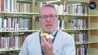 Lunch & Learn: National Crafting Month