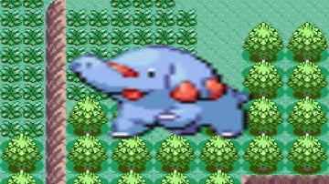 How to find Phanpy in Pokemon Ruby and Sapphire