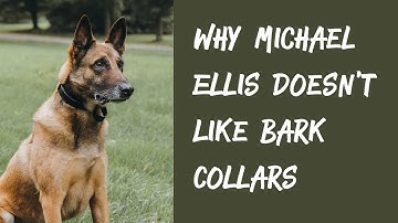 Why Michael Ellis Doesn
