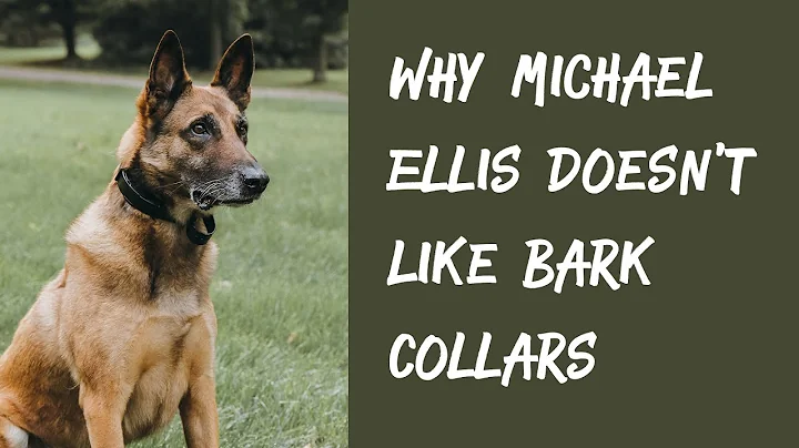 Why Michael Ellis Doesn't Like Bark Collars