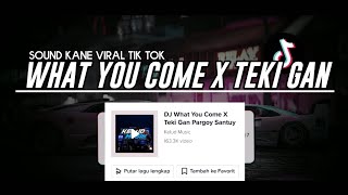 DJ ENGKOL WHAT YOU COME X TEKI GAN PARGOY SANTUY - SOUND KANE VIRAL TIK TOK 😍