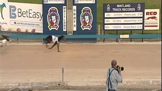 MAITLAND-02042015-RACE-4