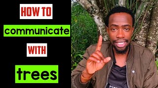 Famous How to communicate with trees(hidden truth) Net Worth