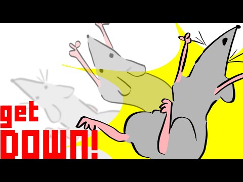 GET DOWN meme ( rat dance part 3 )