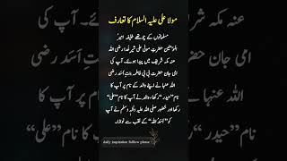 Hazrat A Ali R.A quotes# daily shorts#urdupoetry#shortsfeed#islamic shorts