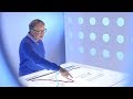 Population Dynamics and Health: Insights into Global Trends
