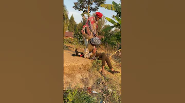 Niache Nicheke Machalii Wa Chuga Chuga Comedy Si Timamu 