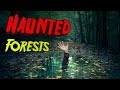Top 10 Most Haunted Forests and 1 Island.