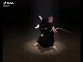 Танцующая мышь Tik Tok 2020