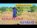 Tiến Hành Cải Tạo Đất Và Chia Sẻ Đôi Lời Về Việc HMN Bị Sự Cố YouTube