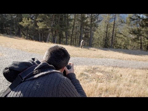 Pentax K-3 Hands-On Field Test