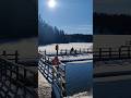 Sunny &amp; Cold Day In Tampere | Suolijärvi Lake | Finland #shorts
