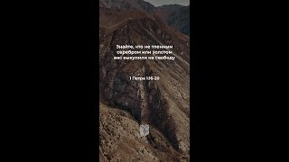Я выбираю святость сегодня, потому что Бог свят #библия #biblevision