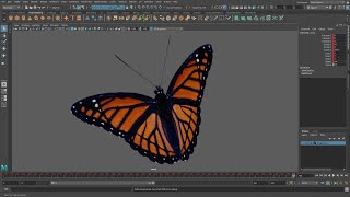 Maya- Making a Butterfly